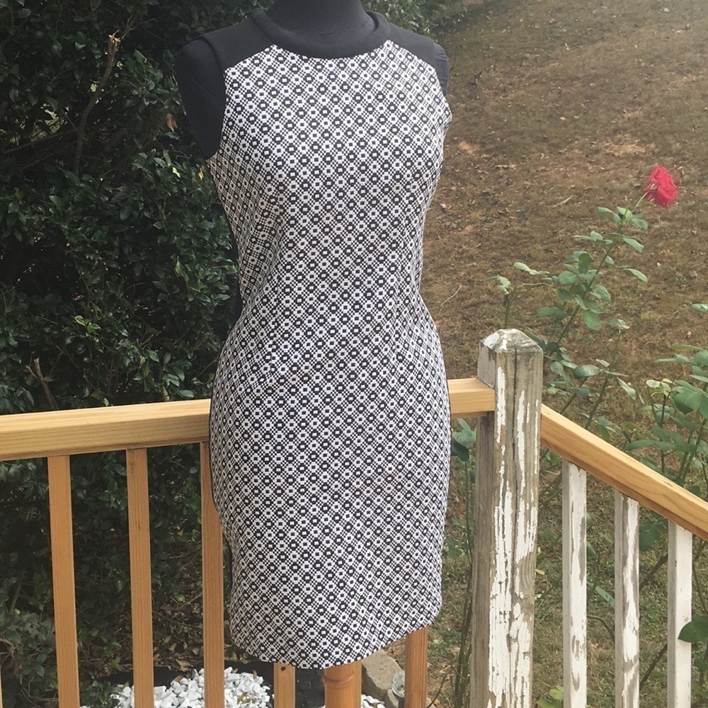 Calvin Kline Knit Dress